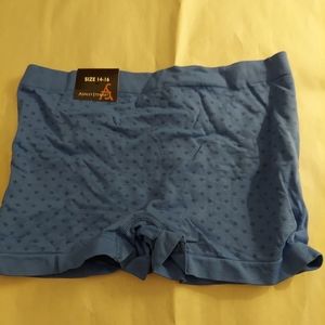 Ashley Stewart Boy Short Panties Size 14/16